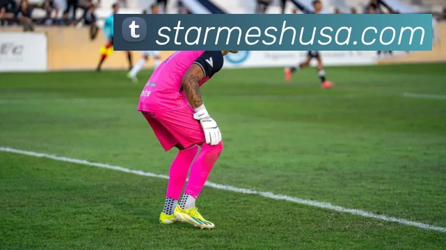 登录器